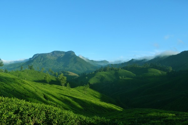 Kerala ( Munnar, Thekkady, Alleppey, Kovalam & Kanyakumari )