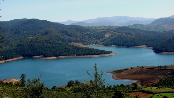 Coorg & Ooty