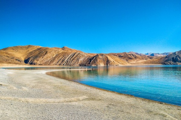 Leh - Nubra - Pangong