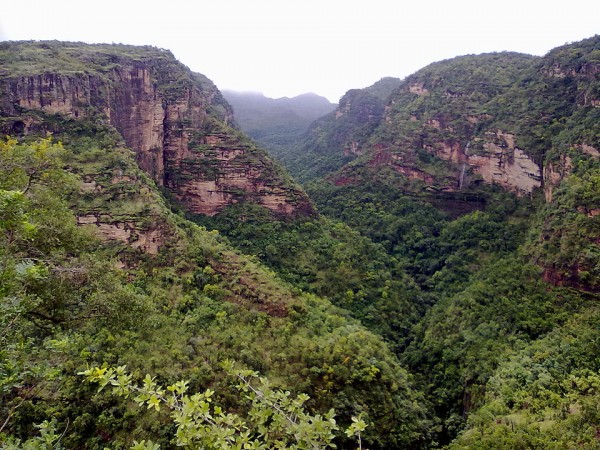 Pachmarhi Only